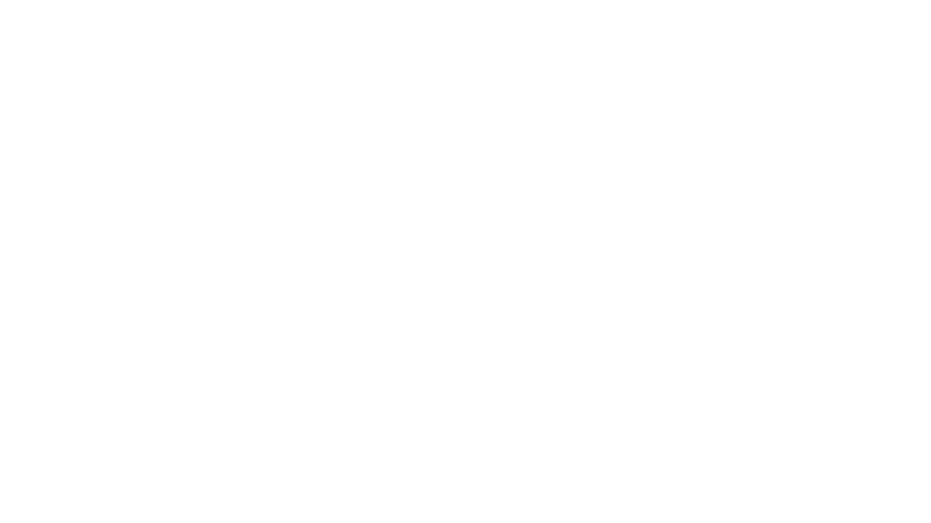 Logo Paloma Wood blanc