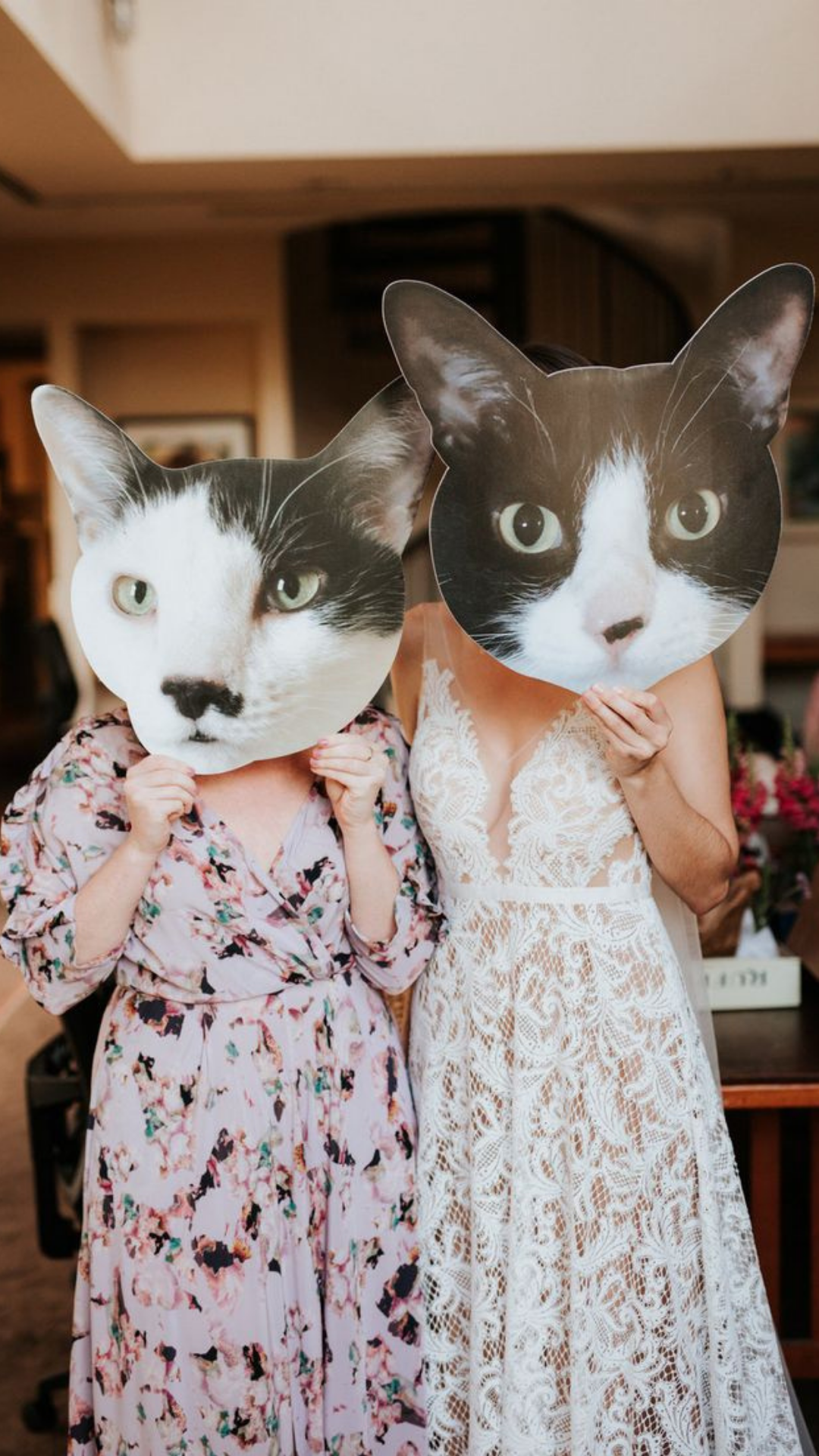 custom-big-heads-cats-wedding-party custom-big-heads-cats-wedding-party